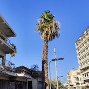 Joint Course with the Department of Psychology at the University of Cyprus